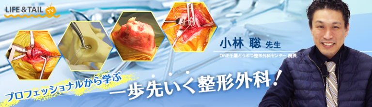 獣医師向け研修動画3