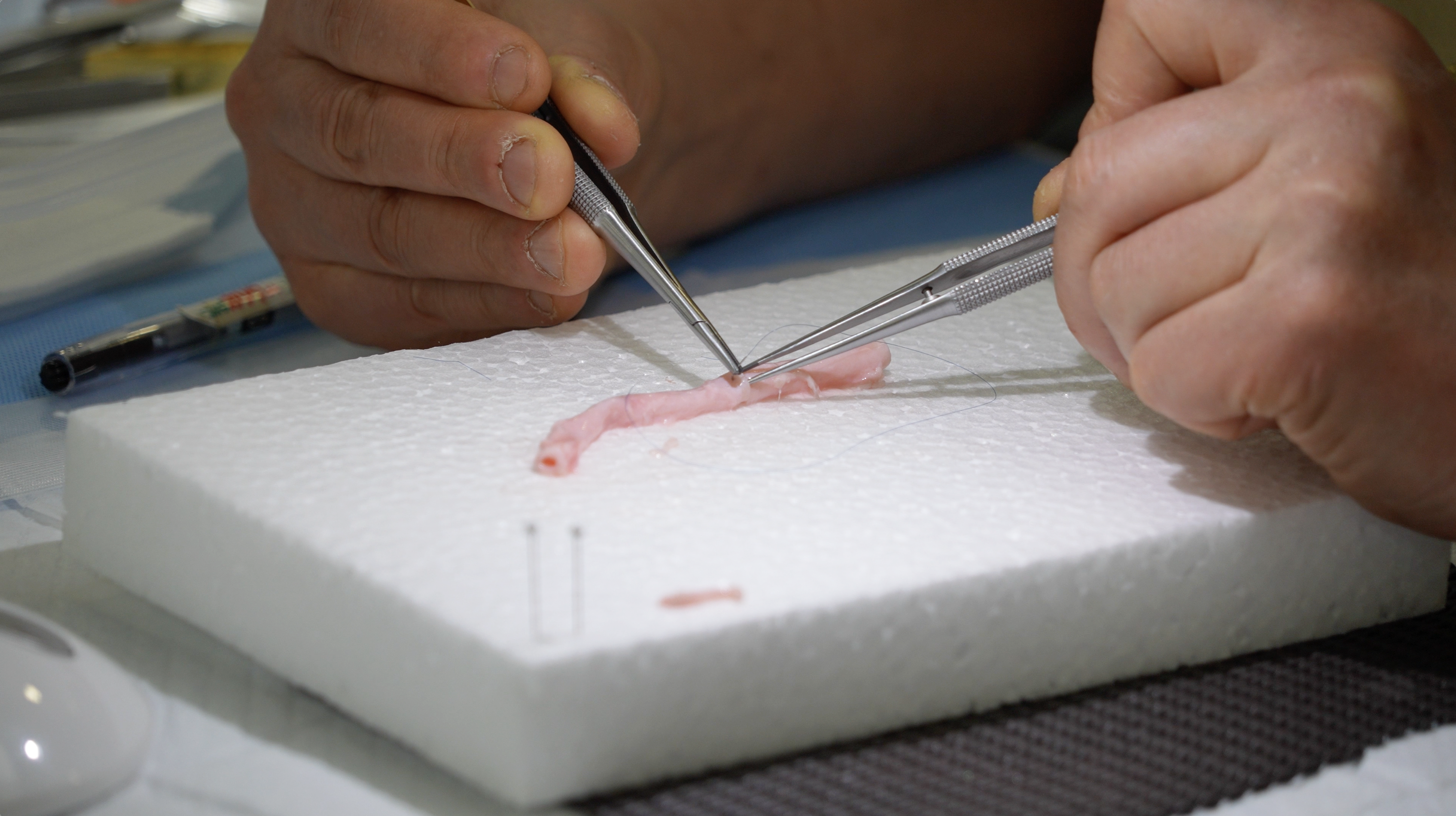 ラーニングサポート背景